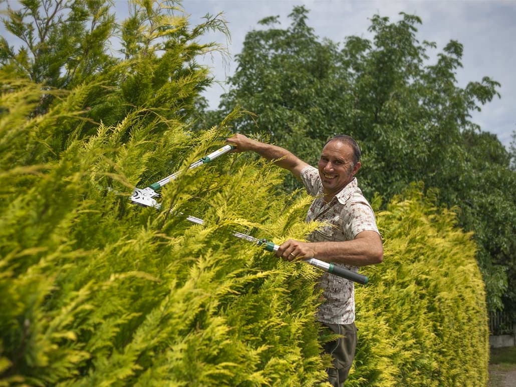 Gartenpflege